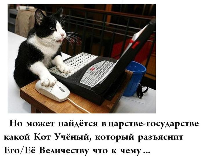 Одноклассники социальная сеть